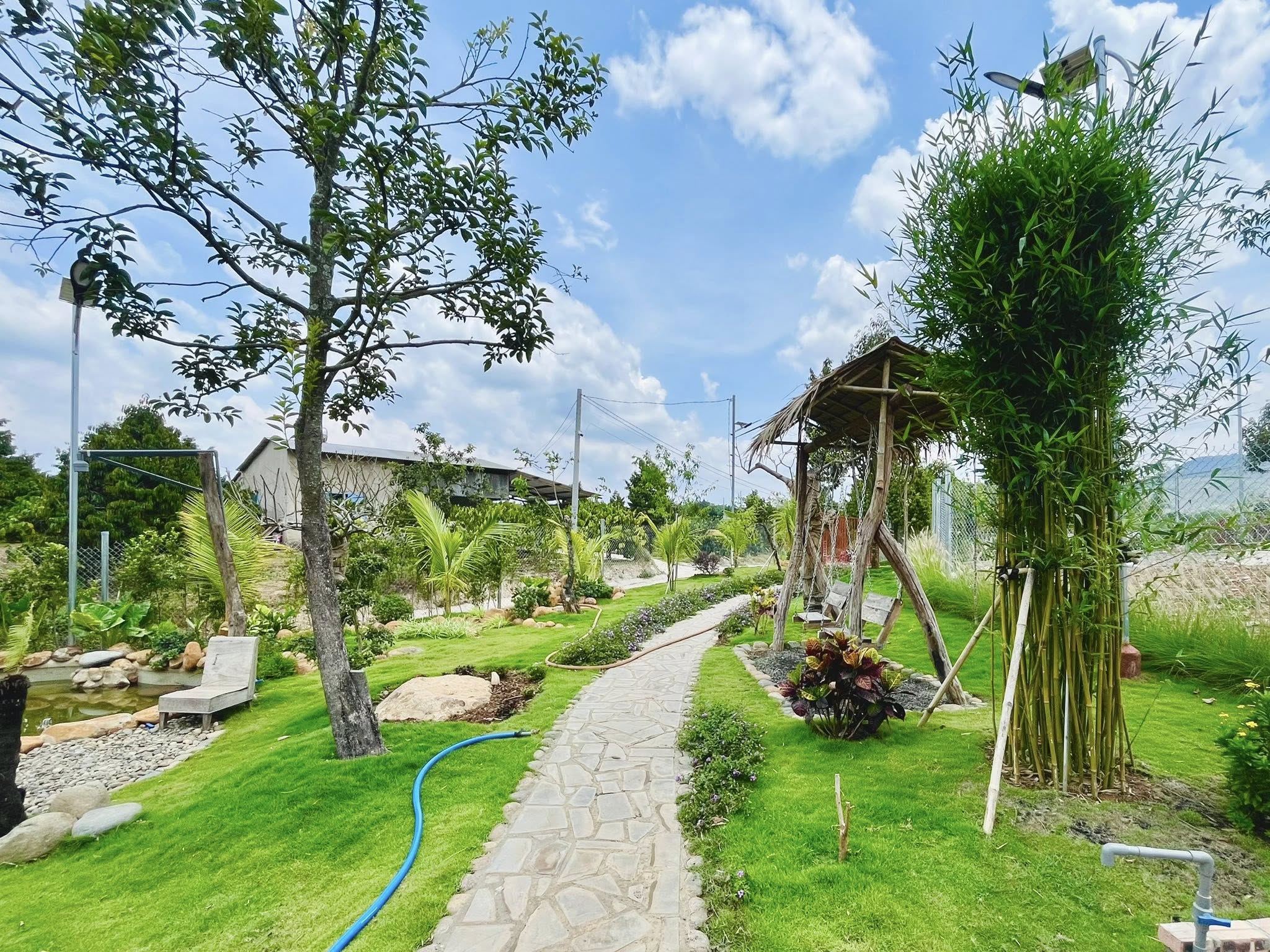 Cần bán Đất Xã N'Thol Hạ, Đức Trọng, Diện tích 996m², Giá 3200 Triệu 3