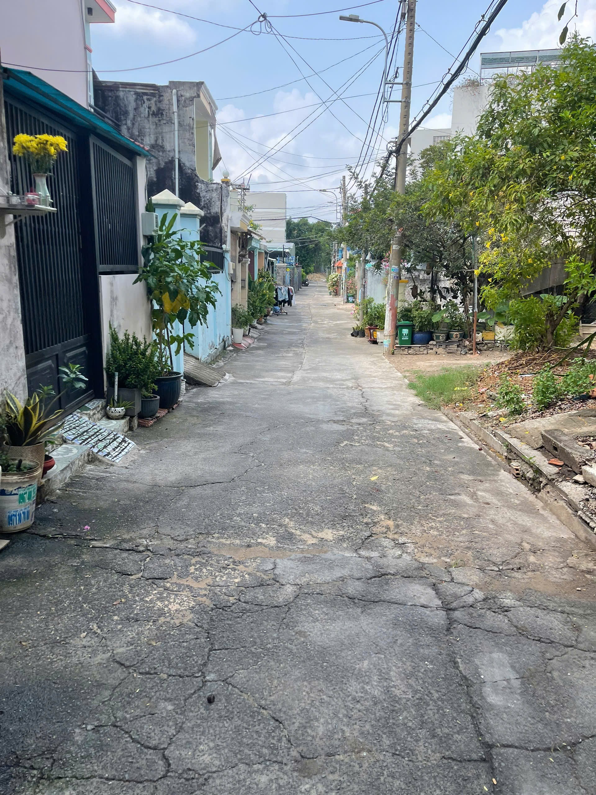 Cho thuê Đất Phường Linh Đông, Thủ Đức, Diện tích 4100m², Giá 250 Triệu/tháng 3
