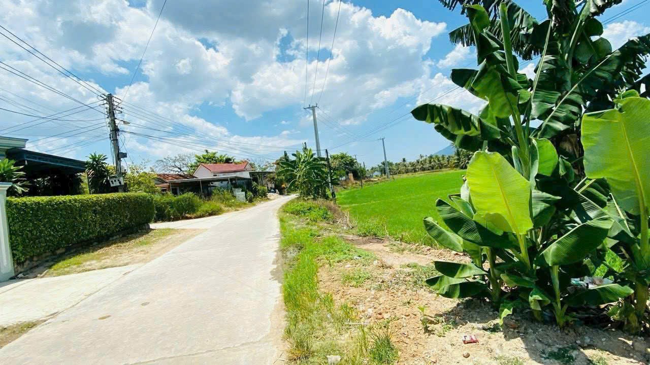 Cần bán Đất Phường Ninh Giang, Ninh Hòa, Diện tích 166m², Giá 900 Triệu 1