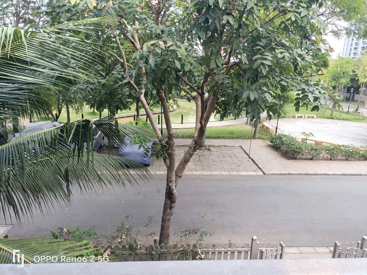 Cần bán Nhà mặt tiền Phường Phú Hữu, Quận 9, Diện tích 316m², Giá 30 Triệu/tháng 5