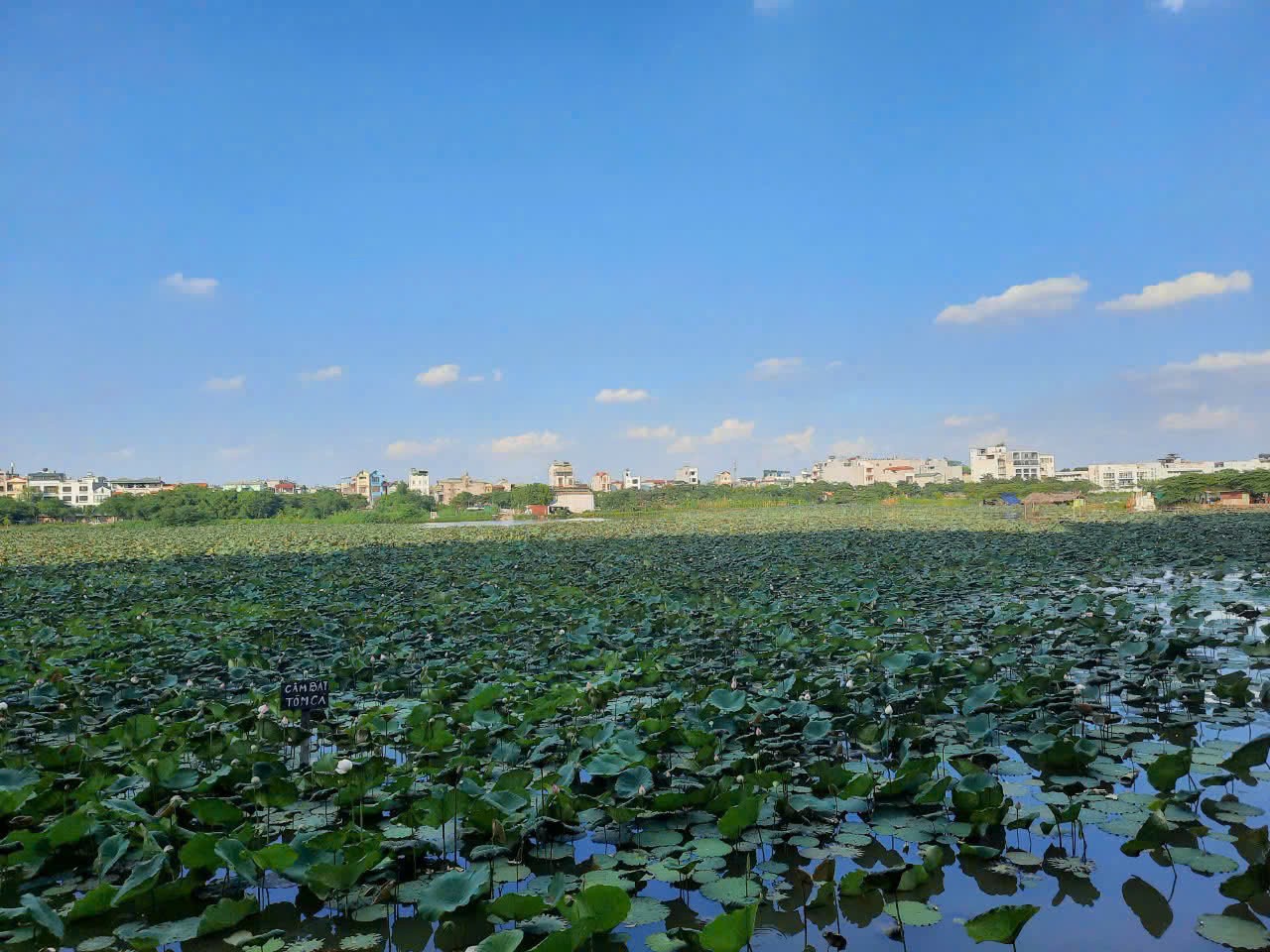 Bán nhanh trong tháng nhà đẹp Phúc Lợi, ngõ oto, 1 nhà ra oto tránh, 30m, 4,38 tỷ 2