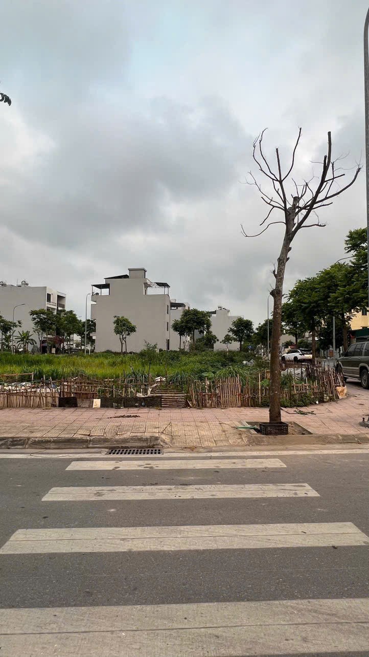 hàng hiếm bán đất lô góc đẹp rộng gần 130m2 ngay khu C - kdt Vũ Phúc sầm uất 4