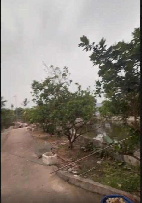 Bán nhà vườn đẹp xã Lam Điền (cũ nay thuộc xã Quảng Bị), 1400m2, mặt tiền 40m, đường bê tông ô tô, 17
