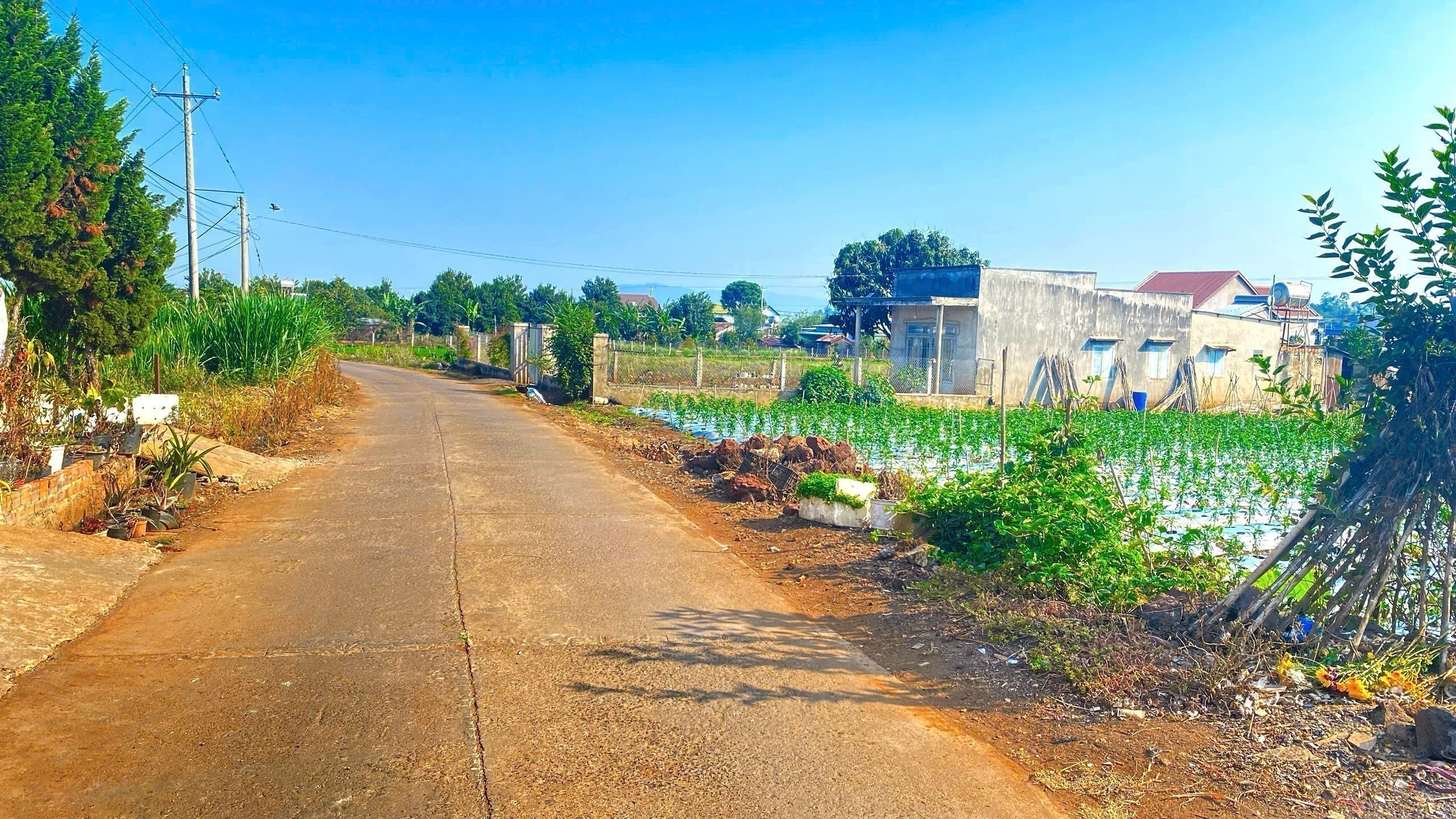 500m2 mặt hẻm tân phú, tân hội, đức trọng cũ, lâm đồng 3