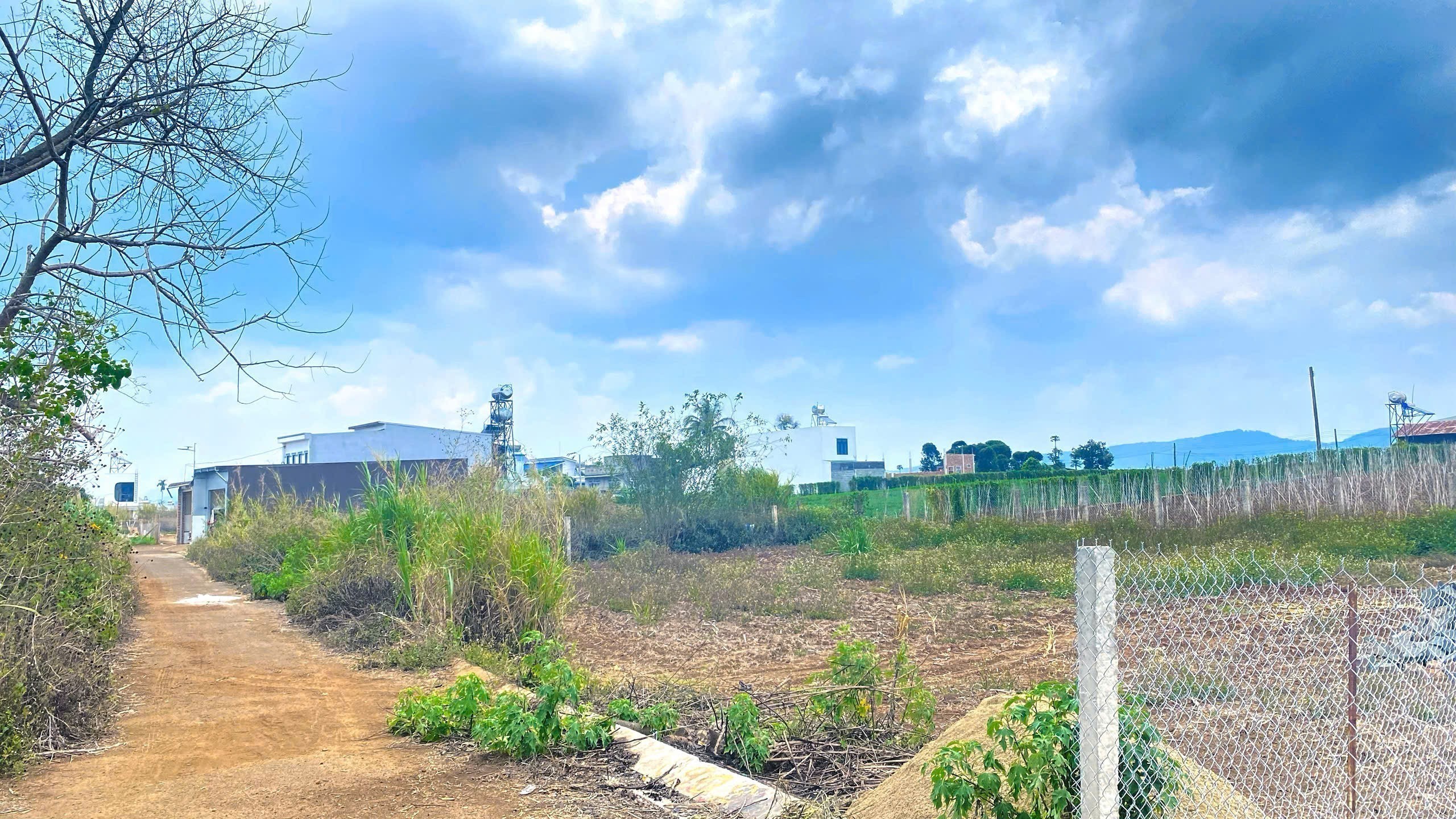 Đất phân lô hẻm hồ nam sơn, đức trọng, lâm đồng 3