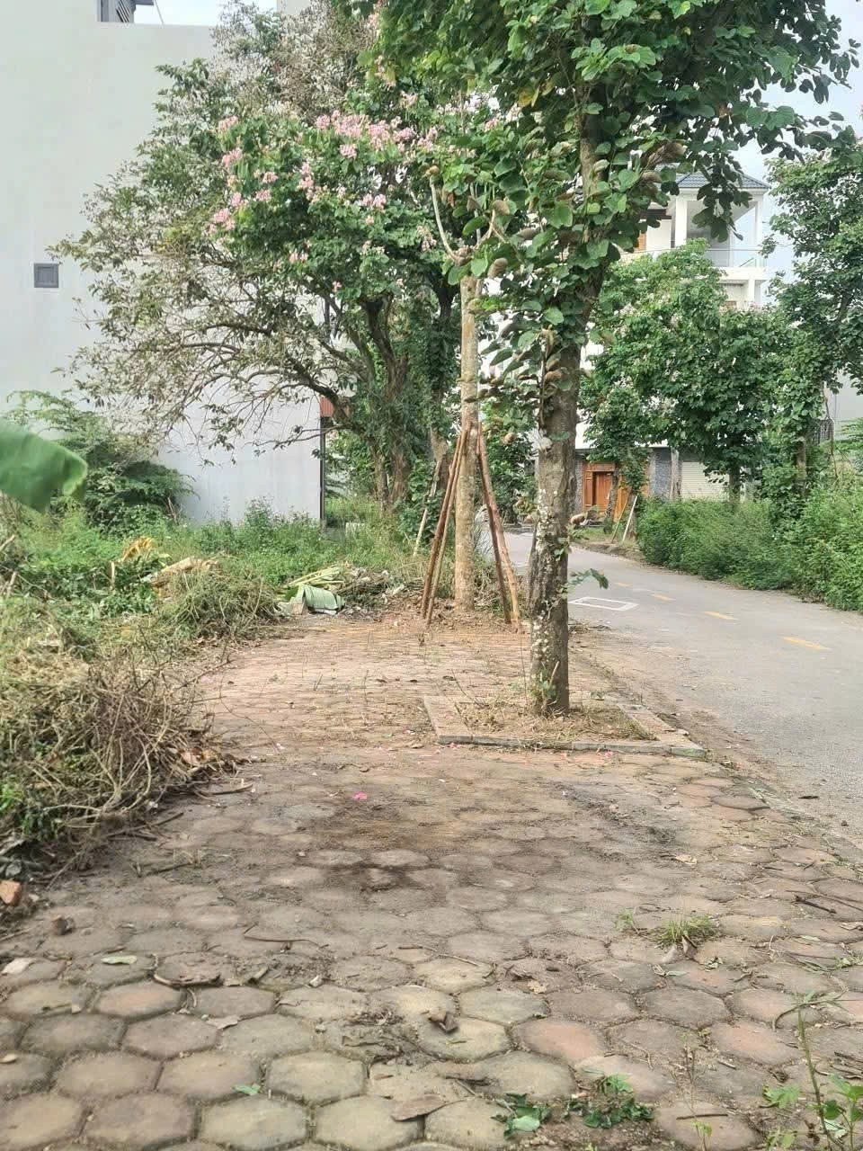 Cần bán Đất Phường Nhị Châu, Hải Dương, Diện tích 317.5m², Giá 225 Triệu/m² 3