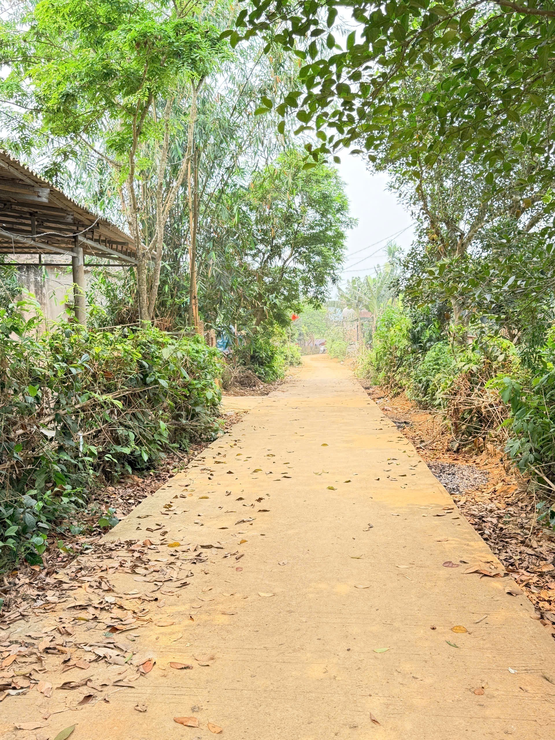 BÁN NHANH LÔ ĐẤT TIỀM NĂNG CAO – GIÁ CHỈ 400 TRIỆUĐịa chỉ: Xóm Trang, xã Vũ Bình, huyện 3