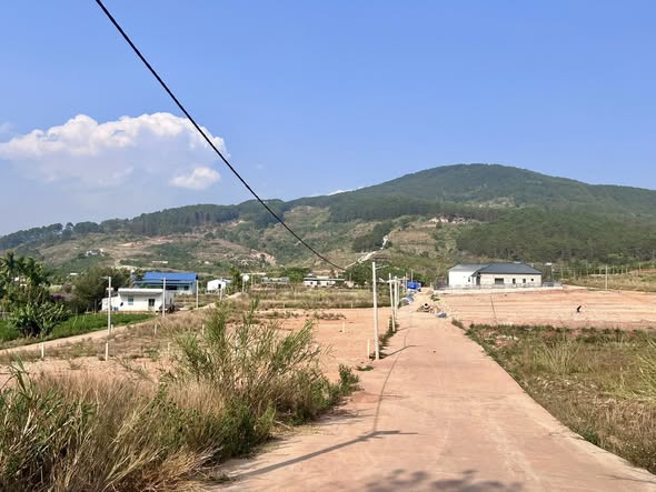 Cần bán Đất đường Tỉnh lộ 725, Thị trấn Nam Ban, Diện tích 309m2 giá 1 tỷ 150 3