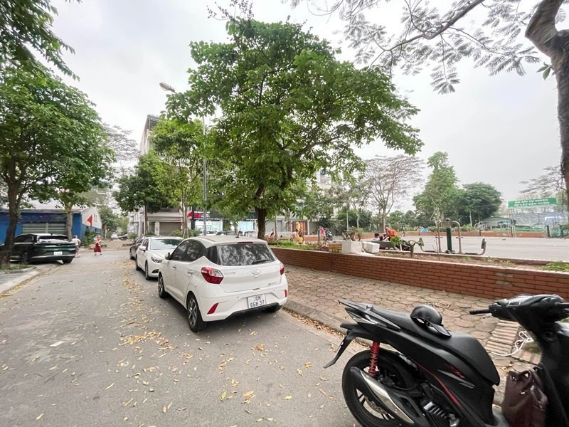 Hàng xóm Vinhomes Riverside: Bán 75,4m2 đất mặt ngõ 85 đường Đào Đình Luyện, View vườn hoa 3