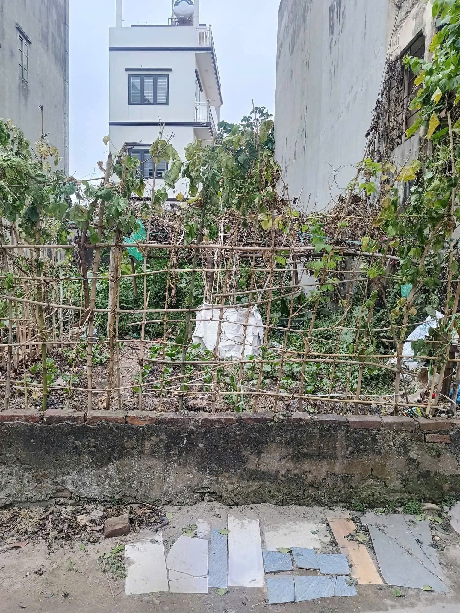Cần bán Đất đường Lĩnh Nam, Phường Vĩnh Hưng, Diện tích 72m², Giá 5.5 Tỷ 3