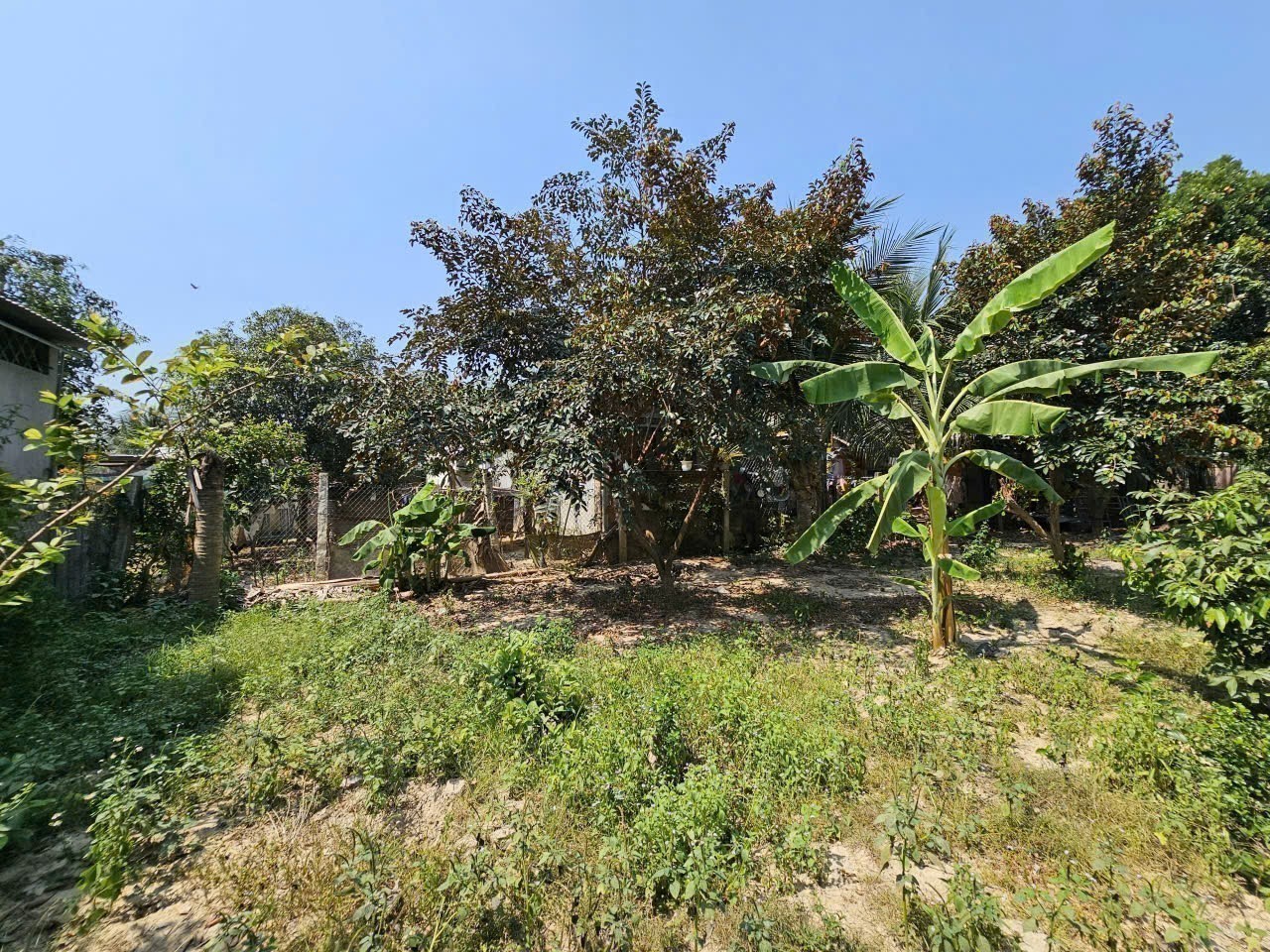 Bán đất Diên Lạc full thổ cư rộng rãi xây nhà vườn - vị trí đối diện ủy ban xã đi vào 4