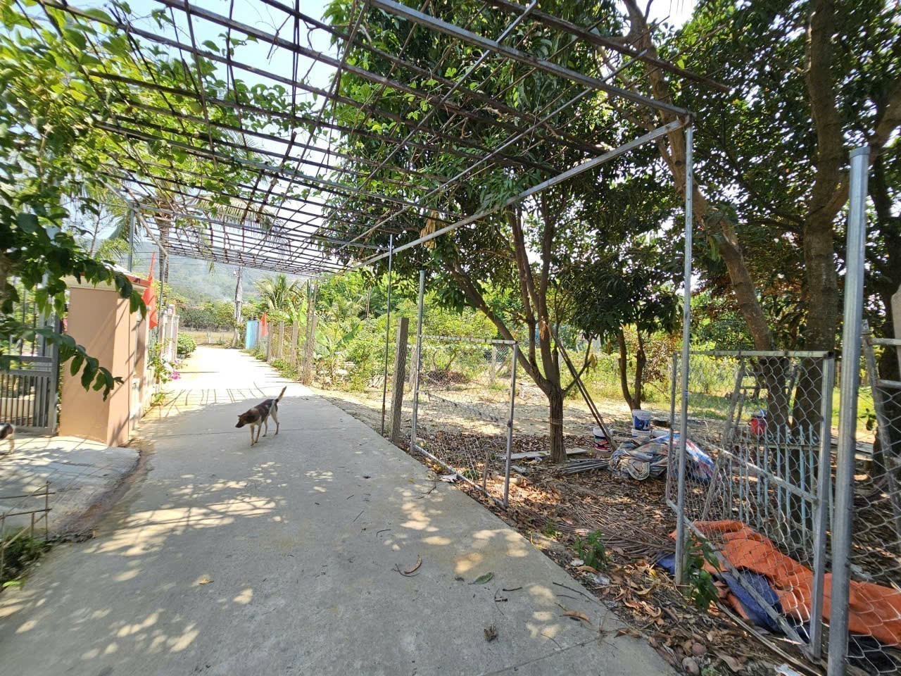 Bán đất Diên Lạc full thổ cư rộng rãi xây nhà vườn - vị trí đối diện ủy ban xã đi vào 11