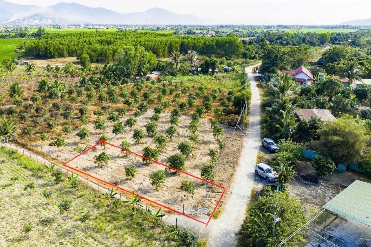 Bán đất Suối Tiên giá rẻ thôn Tân Thành - lô góc 2 mặt tiền sát bên Hương Lộ 39 4