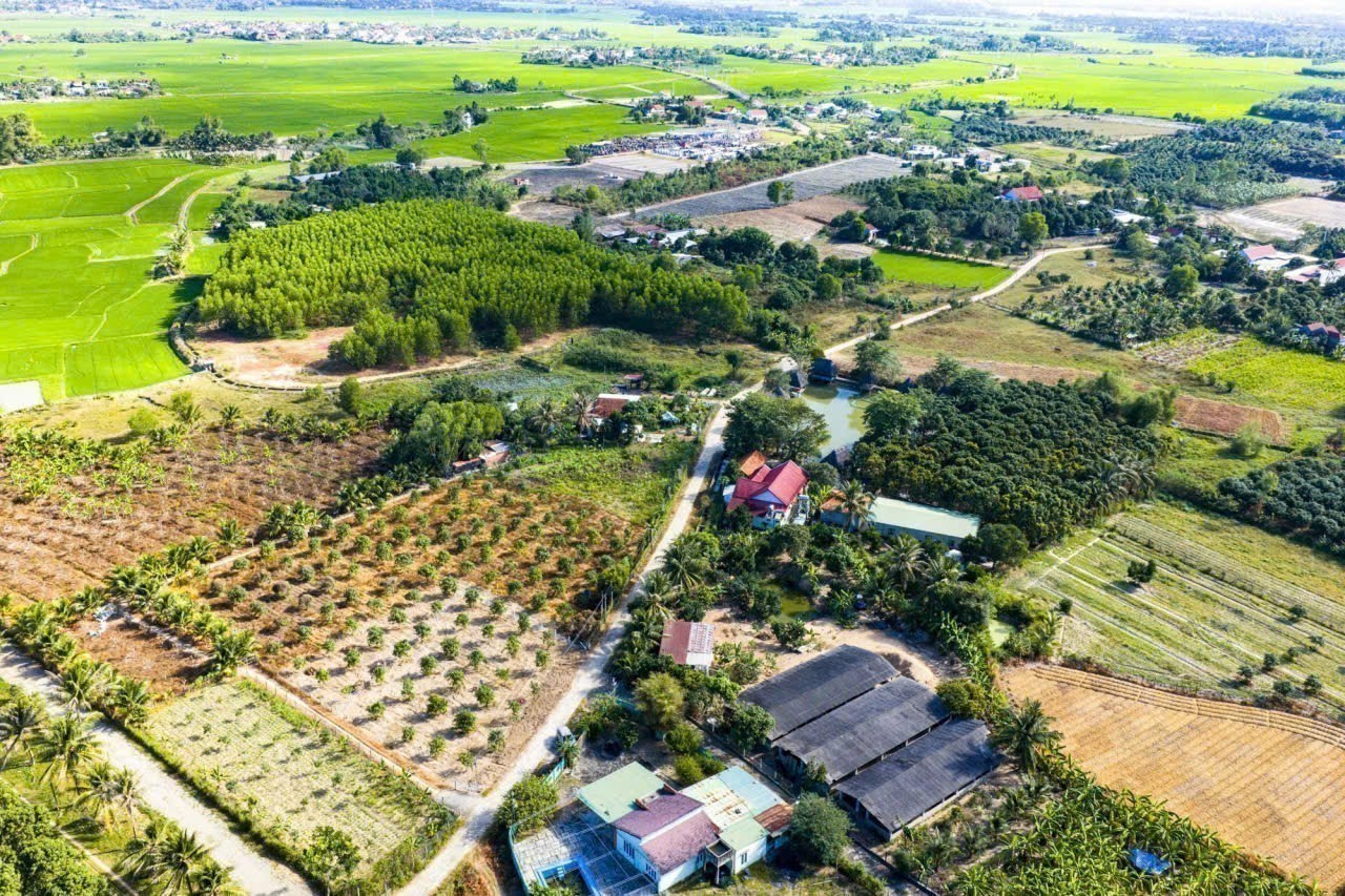 Bán đất Suối Tiên giá rẻ thôn Tân Thành - lô góc 2 mặt tiền sát bên Hương Lộ 39 5