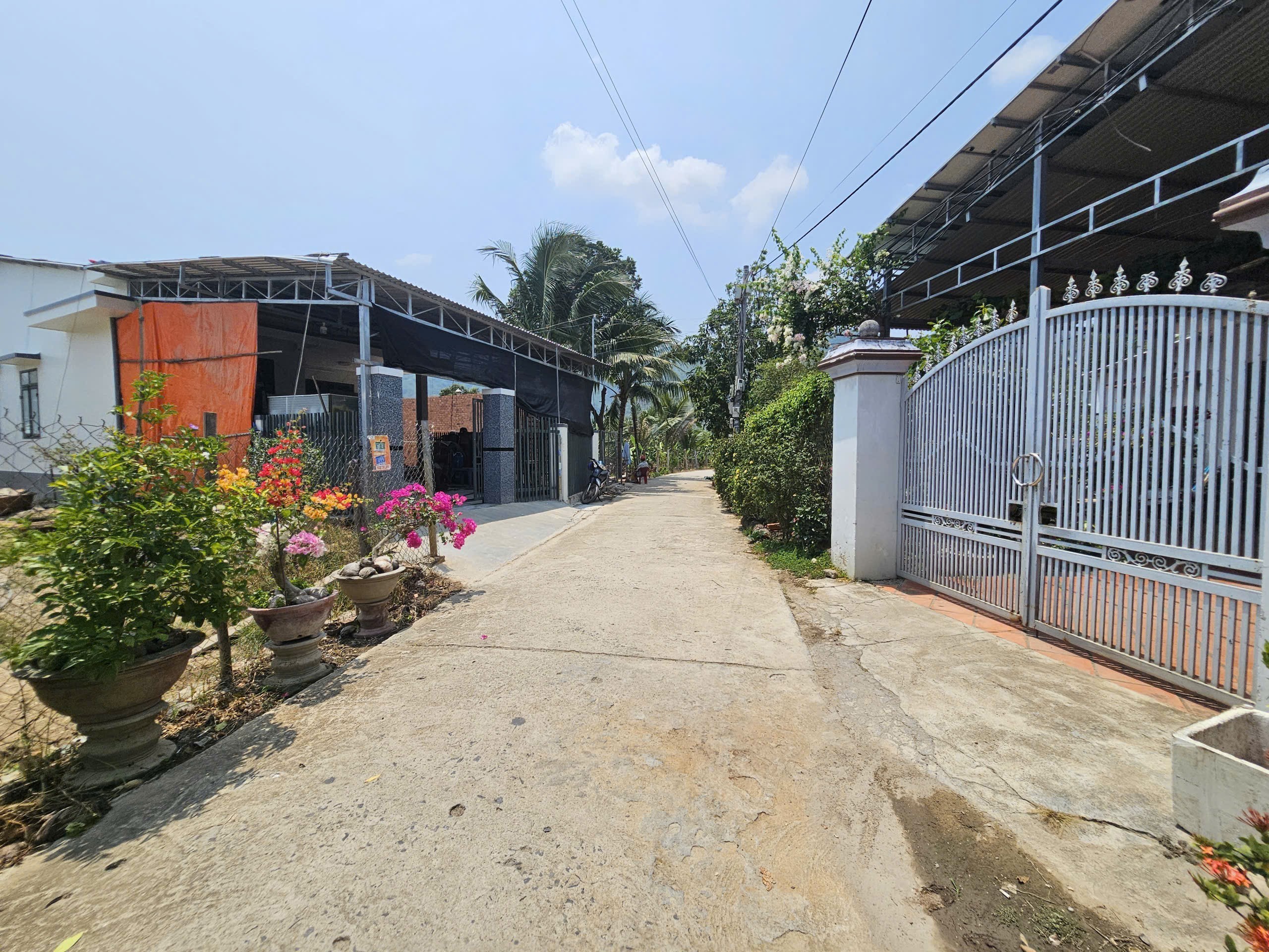 Bán đất Diên Toàn thôn Phước Trạch dân cắt sổ hồng riêng sổ hồng sẵn - đường thông 2