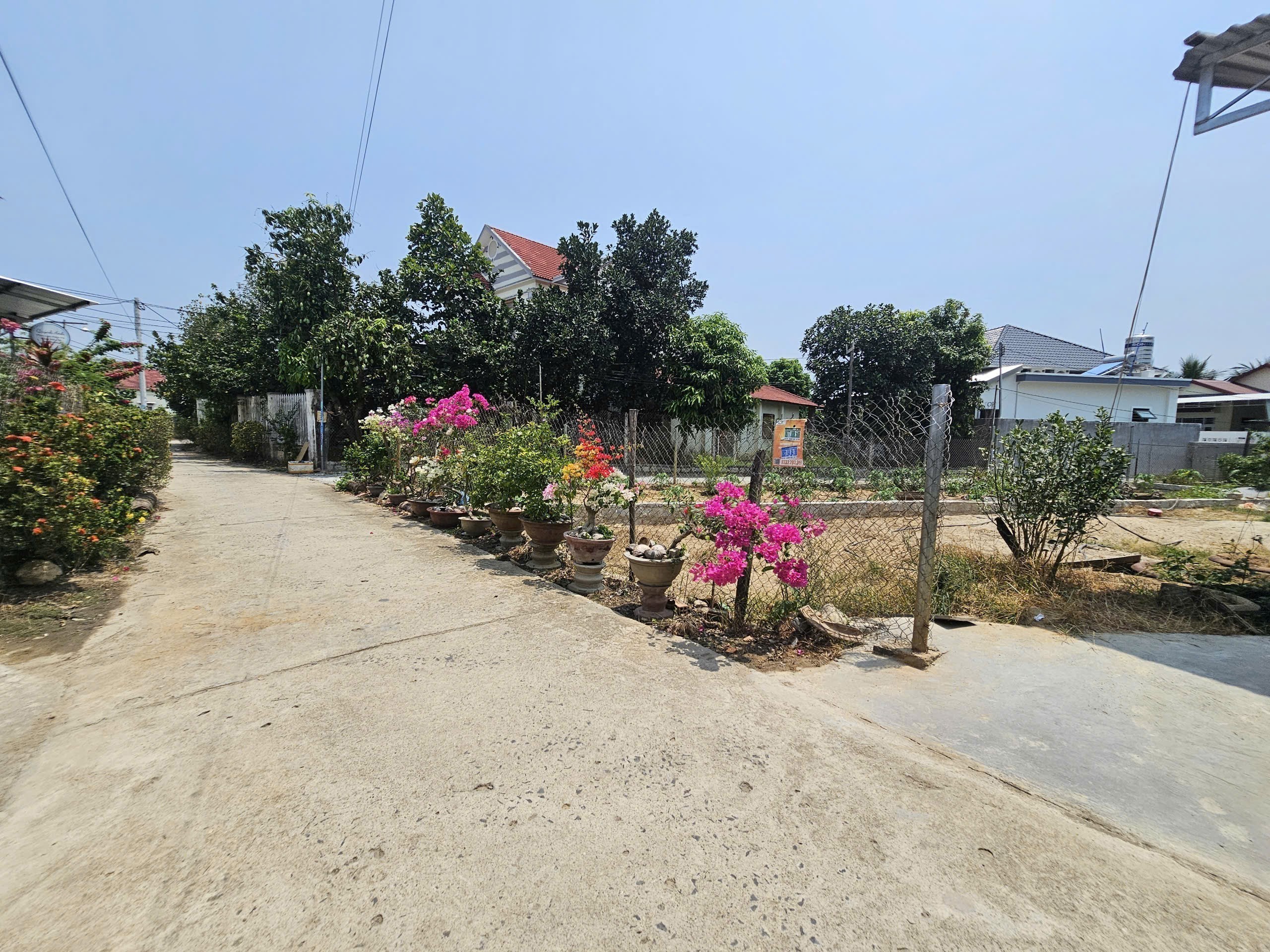 Bán đất Diên Toàn thôn Phước Trạch dân cắt sổ hồng riêng sổ hồng sẵn - đường thông 6