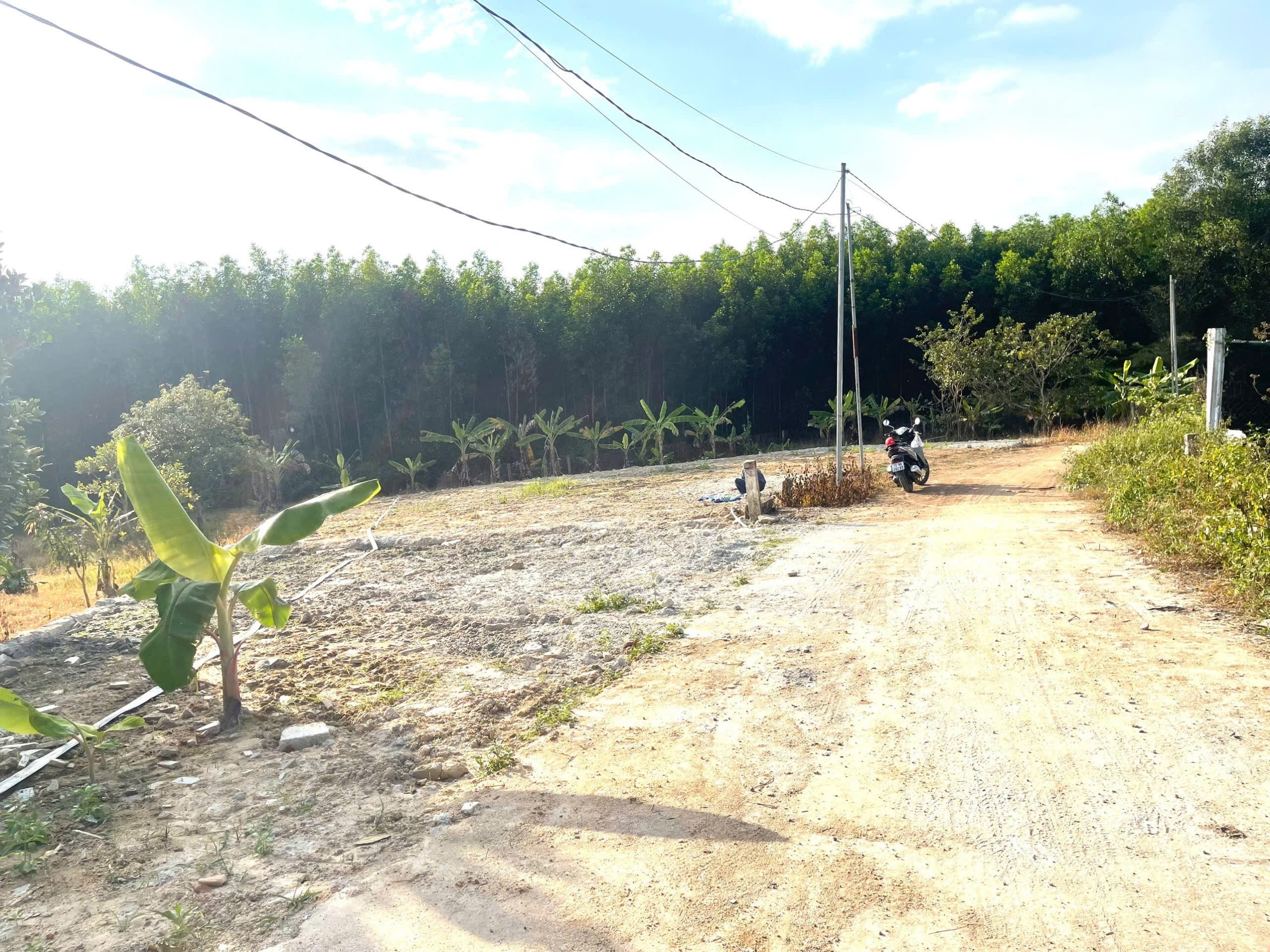 Bán đất Diên Tân giá rẻ phù hợp anh chị kiếm đất xây căn nhà nhỏ an cư 2