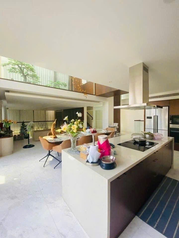 Cần bán Biệt thự đường Nguyễn Sỹ Sách, Phường 15, Diện tích 304m², Giá 45 Tỷ 6