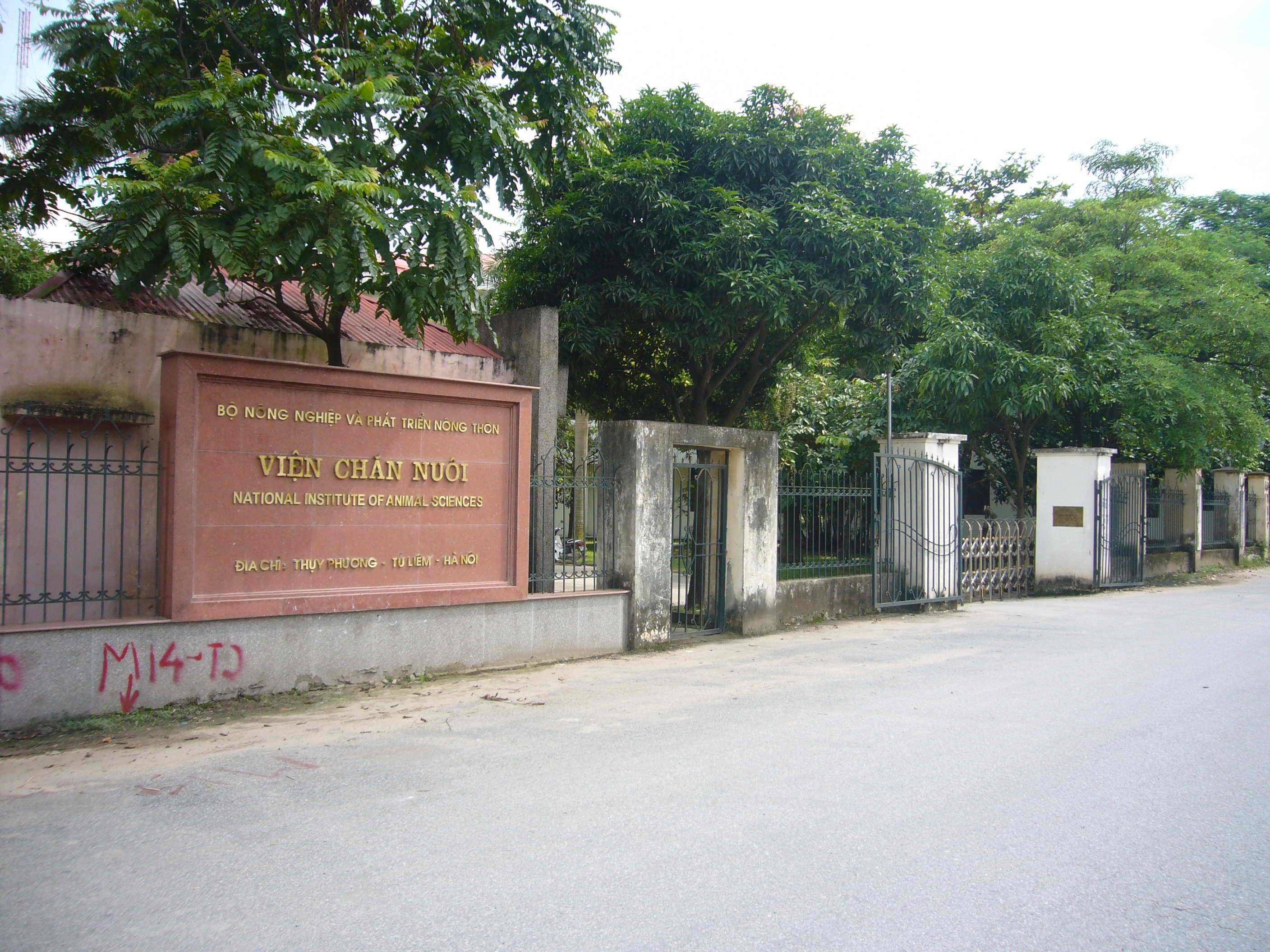 Cần bán Nhà đường ô tô trải bê tông nhựa, Tân Phong Thụy Phương, Diện tích 62m², Giá Thương lượng