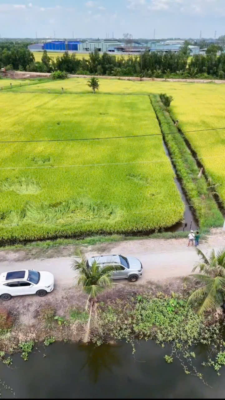 Bán đất lúa góc mt đường đá xanh xe tải và mt kênh xã Hòa Khánh Tây dt 8100m2 giá 7,85 tỷ 2