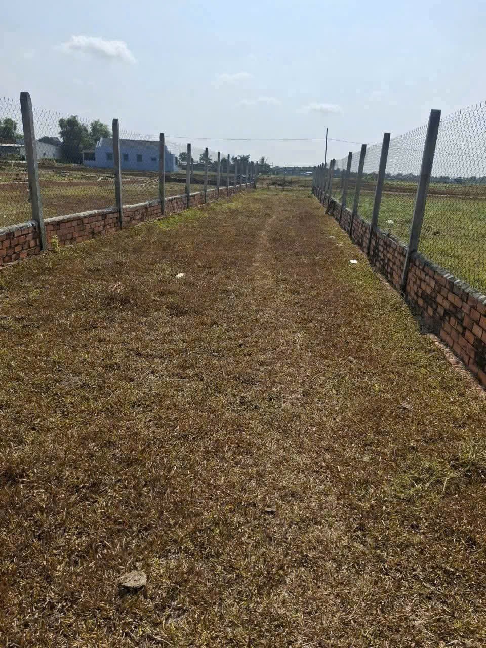 Bán 4000m2 đất ( 350m2 thổ) đường đá xanh xe hơi xã Đức Hòa Thượng, Đức Hòa giá 5,8 tỷ 3
