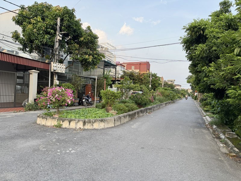 Đất Đấu Giá Làng Cam 90m2 - Đường 15m Thông Cổ Bi - Tiềm Năng Tăng Giá Khủng 4