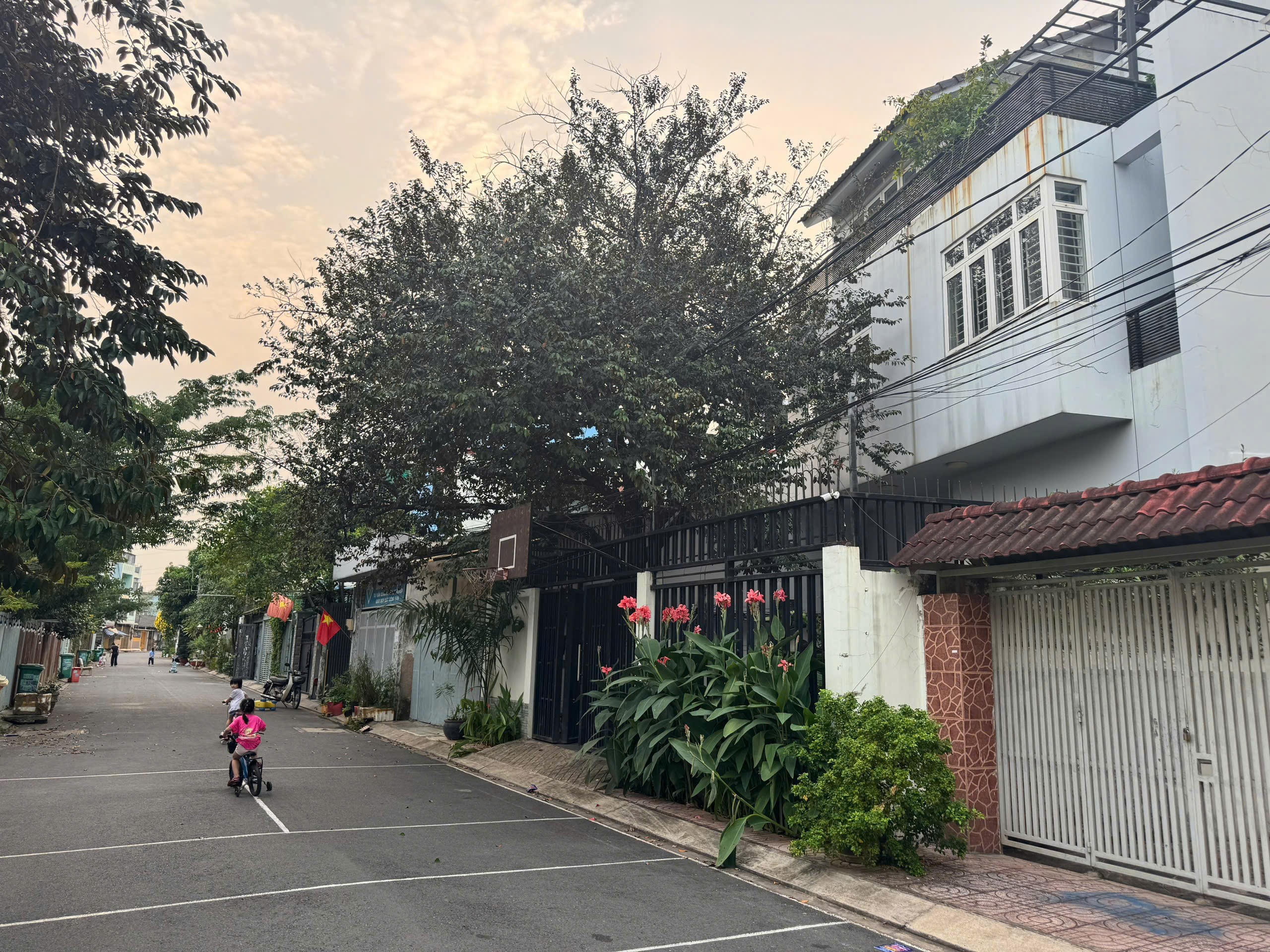 Cần bán Biệt thự Phường Phú Mỹ, Quận 7, Diện tích 567m², Giá 232 Tỷ
