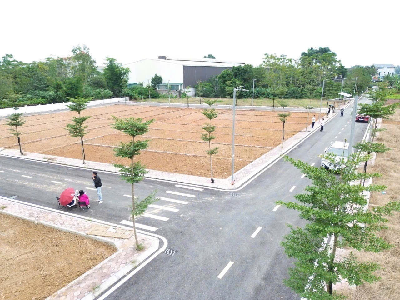 TÔI CHÍNH CHỦ CẦN TIỀN BÁN CẮT LỖ LÔ ĐẤT VÀNG Ở PHÚ CÁT - SÁT VÁCH TỈNH LỘ 446 - QUỐC LỘ 21 2