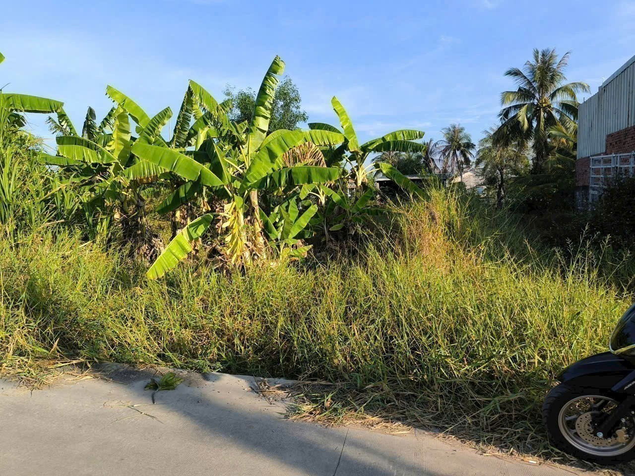 Bán đất mt đường Cây Mắm, Long Cang , Cần Đước dt 213m2 full thổ giá chốt 1,3 tỷ 3