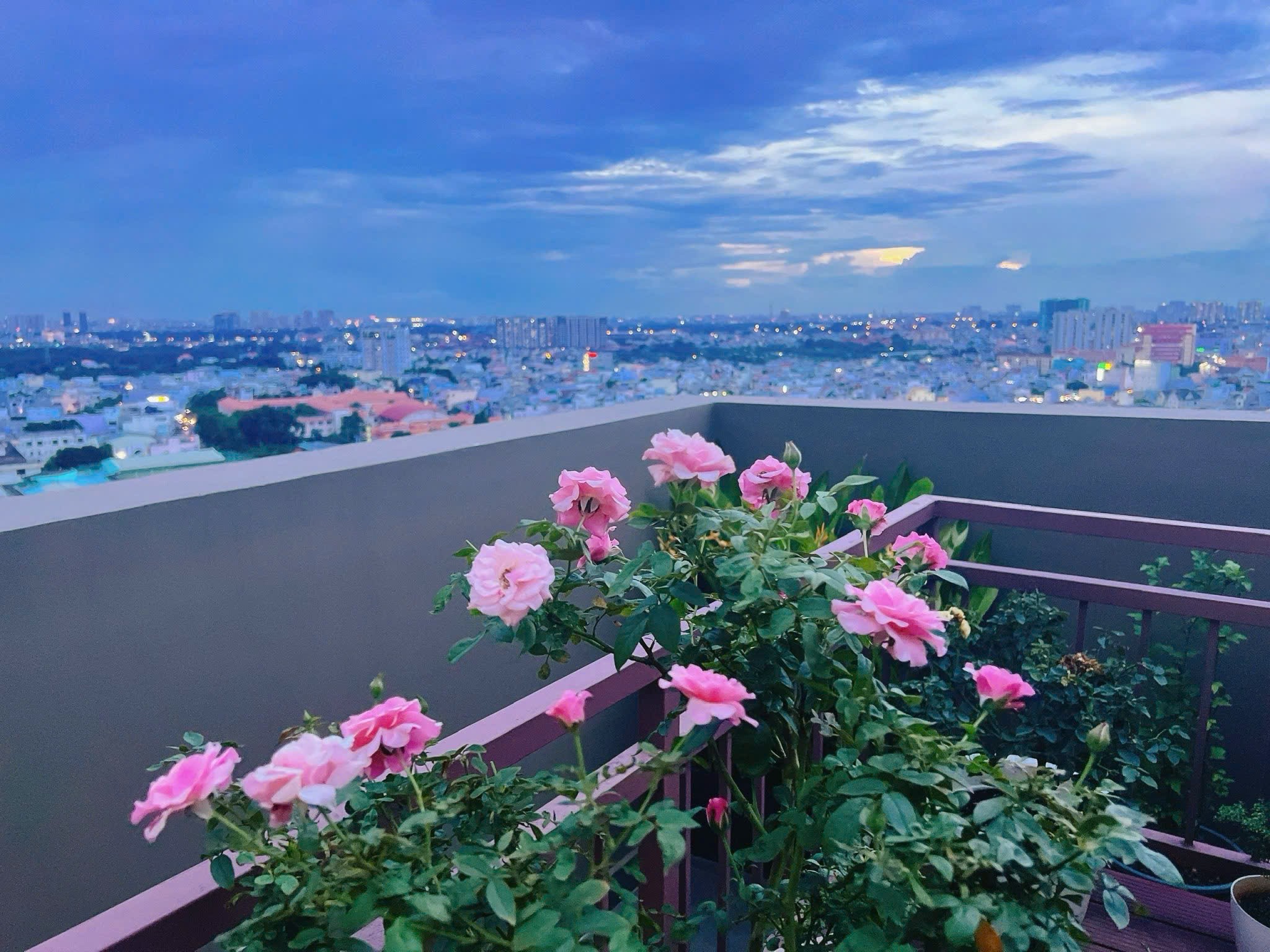 Cần bán Căn hộ chung cư Phường Phước Long B, Quận 9, Diện tích 132m², Giá 09 Tỷ 14
