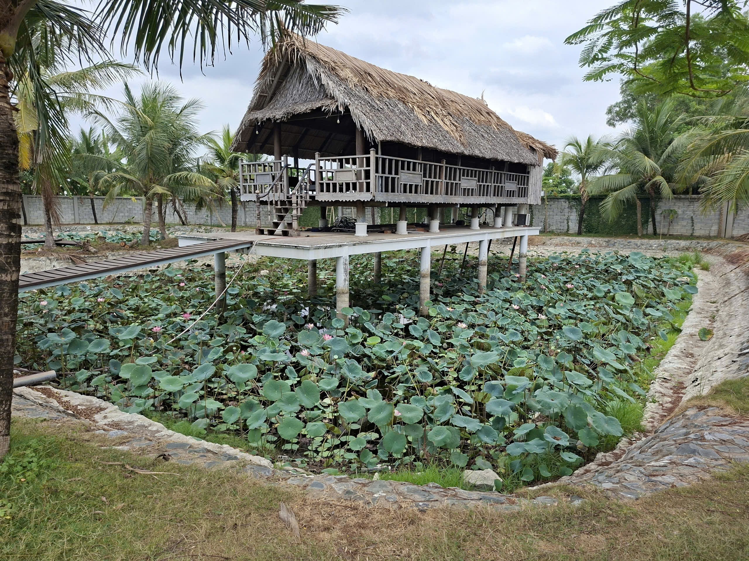Cho thuê Đất Củ Chi, Hồ Chí Minh, Diện tích 9000m², Giá Thương lượng 3