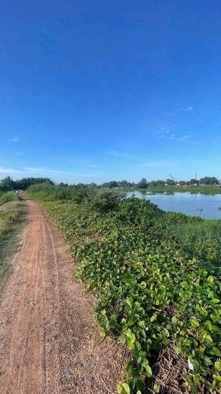 Bán đất vườn 2 mặt tiền view sông Vàm Cỏ Đông đường oto xã Lương Hòa dt 3730m2 giá 5,6 tỷ 5