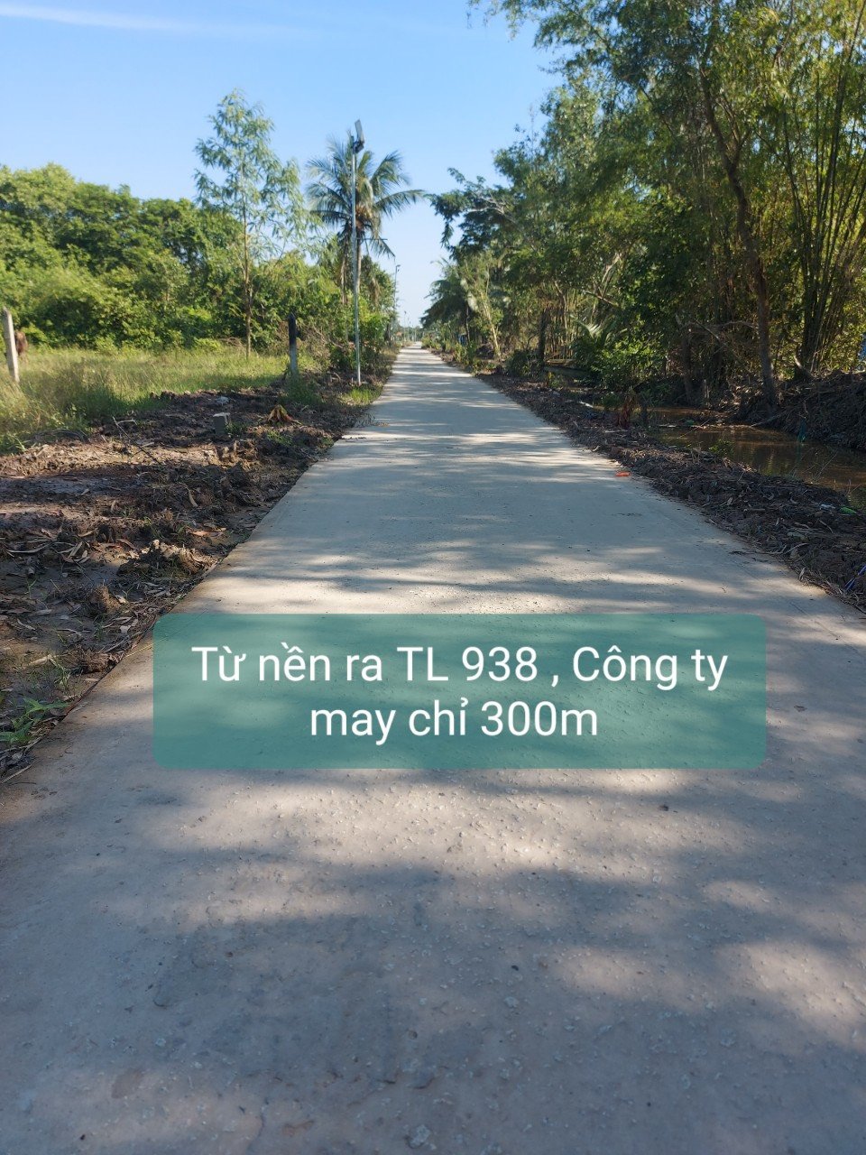 Cần bán Đất Xã An Ninh, Châu Thành, Diện tích 250m², Giá 550 Triệu 2