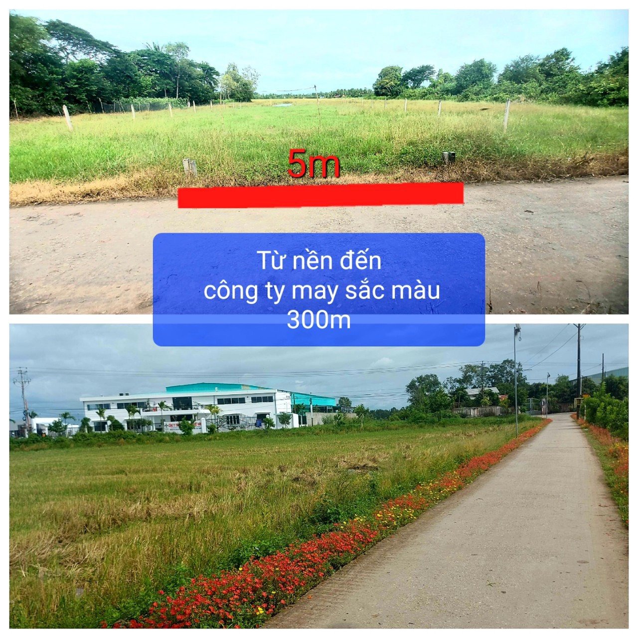Cần bán Đất Xã An Ninh, Châu Thành, Diện tích 250m², Giá 550 Triệu 1