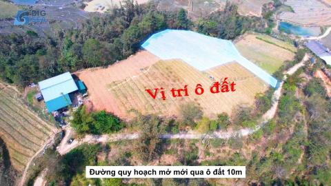 Cần bán Đất đường Quốc lộ 4D, Xã Tả Phìn, Diện tích 1200m², Giá  Triệu/m²
