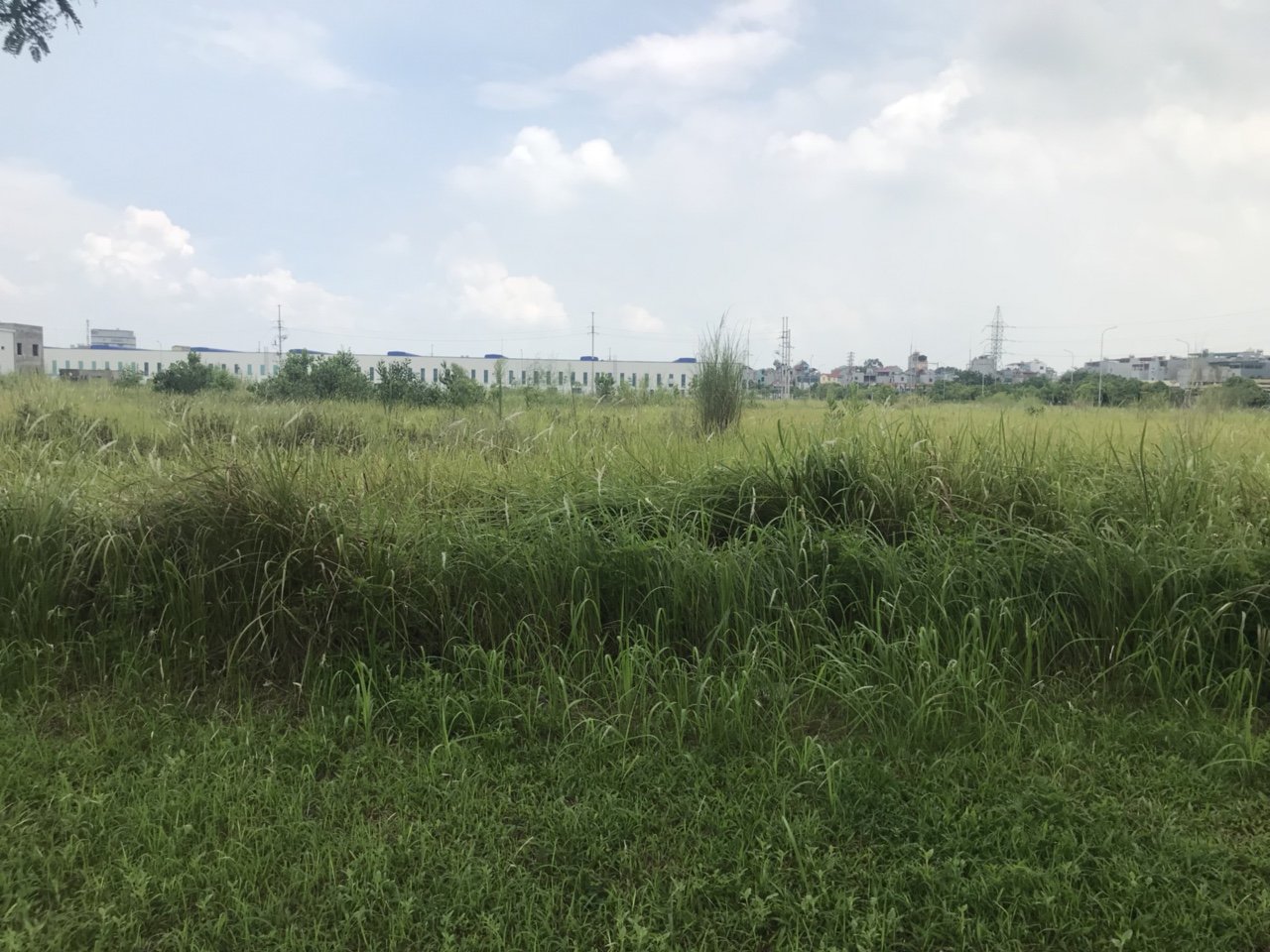 Chuyển nhượng lô đất công nghiệp tại KCN Bắc Ninh- dt 2ha lô đất 2mặt tiền.Lh 0988 457 392