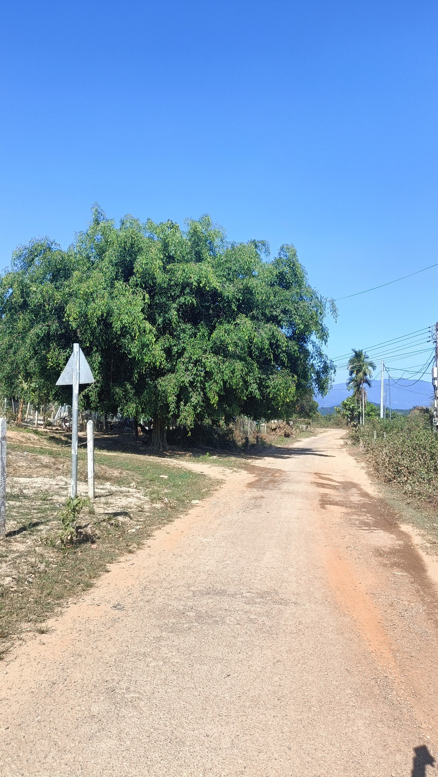 Cần bán Đất đường 8, Xã Khánh Phú, Diện tích 200m², Giá 330 Triệu 4