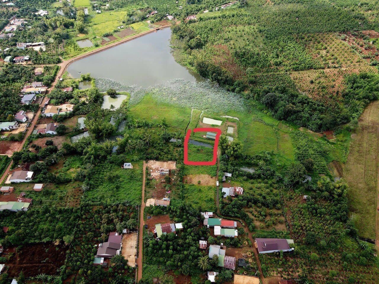 Cần bán Đất Xã Bình Thuận, Buôn Hồ, Diện tích 1379m², Giá Thương lượng 3