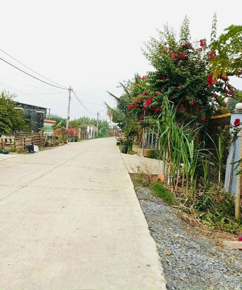 Cần bán Đất đường Nguyễn Thị Rành, Xã Phước Hiệp, Diện tích 140m², Giá 720 Triệu 3