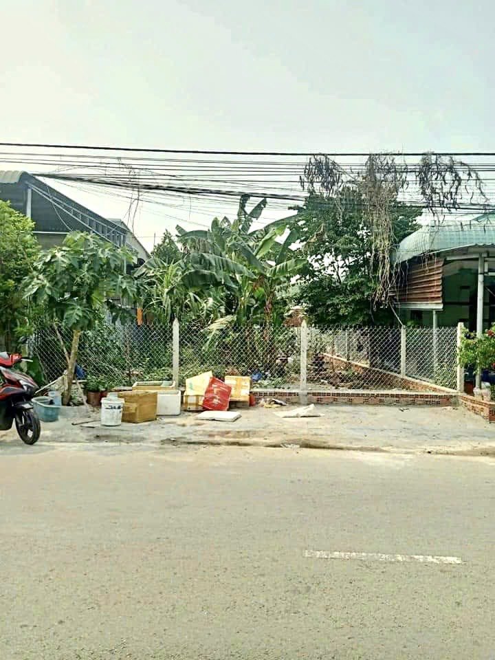 Cần bán Đất đường Nguyễn Văn Hoài, Xã Tân An Hội, Diện tích 243m², Giá 840 Triệu