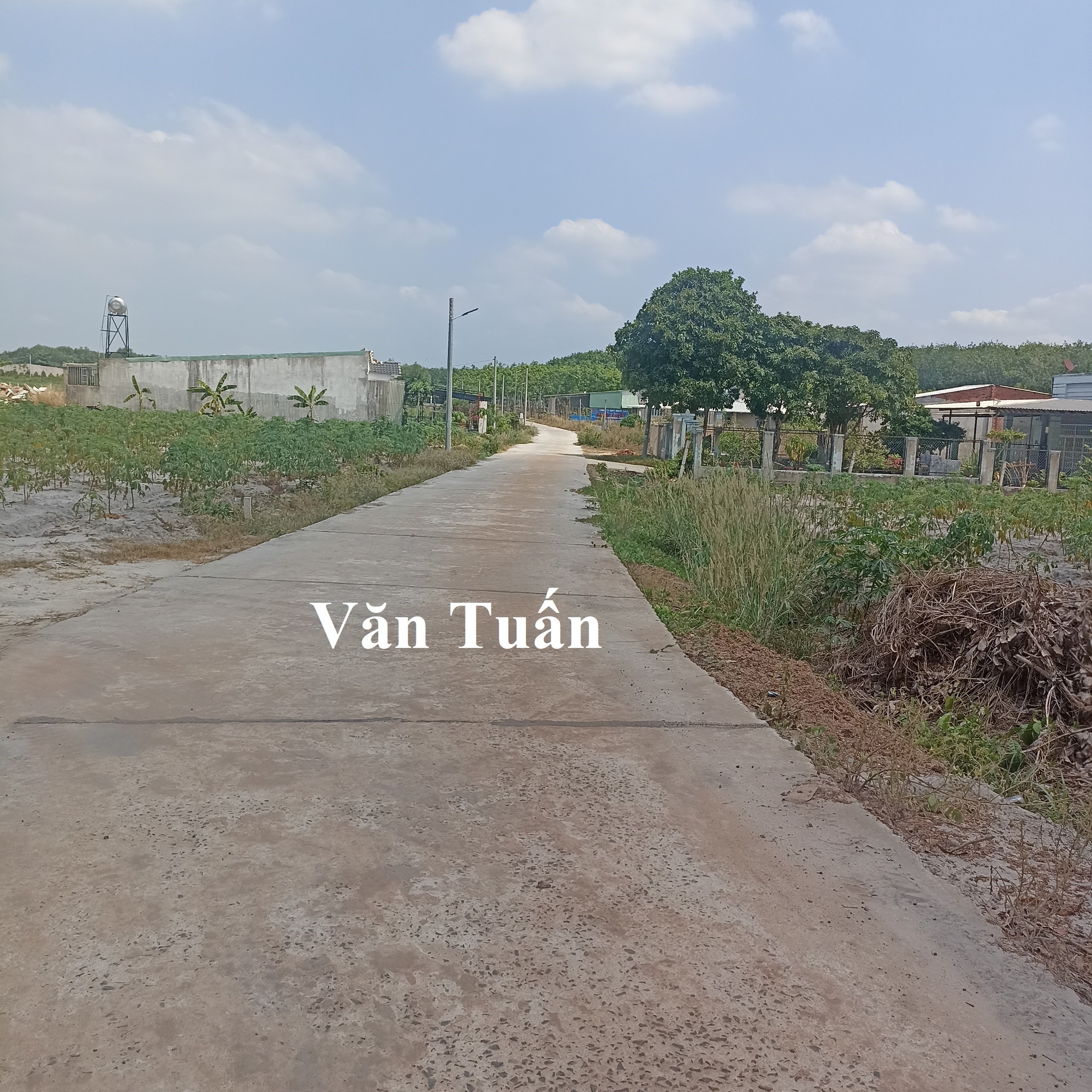 Chủ Ngộp Cần Bán Gấp 12m Mặt Tiền Kinh Doanh Chơn thành Giá Rẻ 3