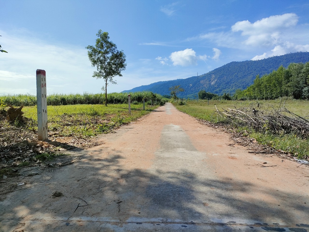 Bán đất vườn Khánh Hiệp giá rẻ phù hợp quy hoạch thổ cư gần Tỉnh Lộ 8C