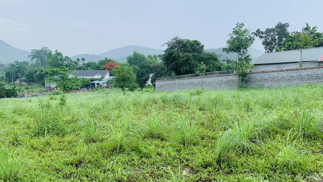 ĐẤT HÒA SƠN MÀ GIÁ RẺ QUÁ CHỈ HƠN 2TR. VIEW CÁNH ĐỒNG. 2