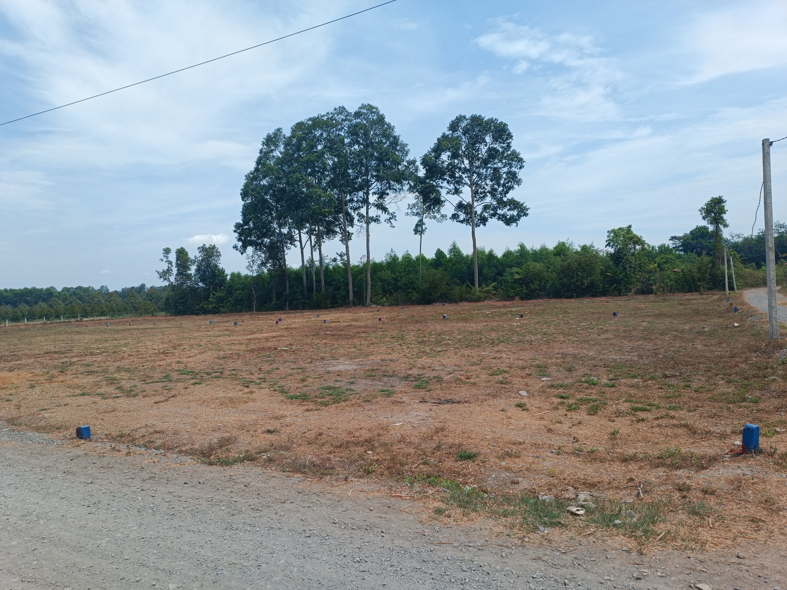 Cần bán Đất Xã Đôn Thuận, Trảng Bàng, Diện tích 174m², Giá Thương lượng