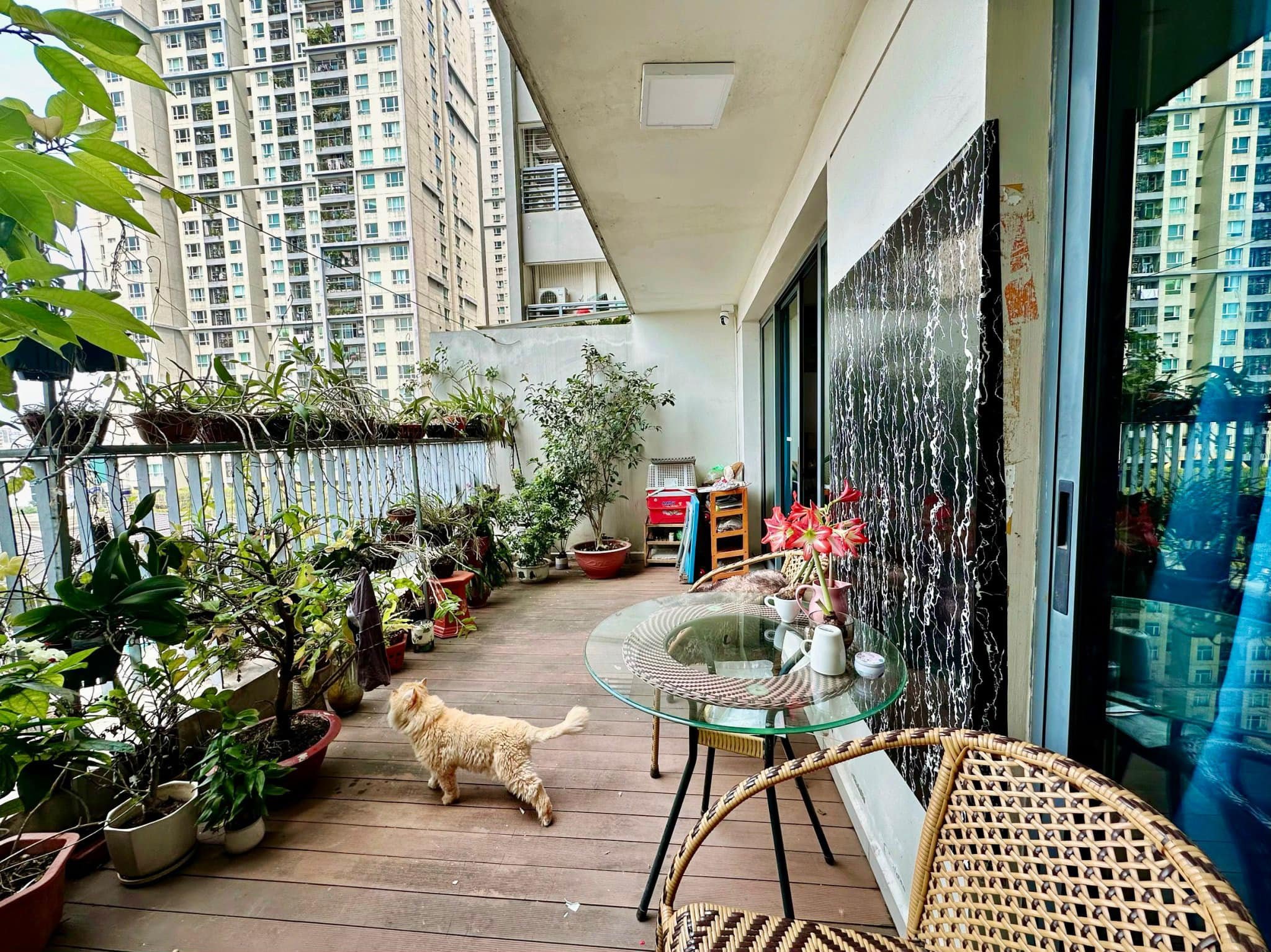 Chuyển nhượng căn sân vườn Mulberry Lane 121m2 chỉ 6.x tỷ