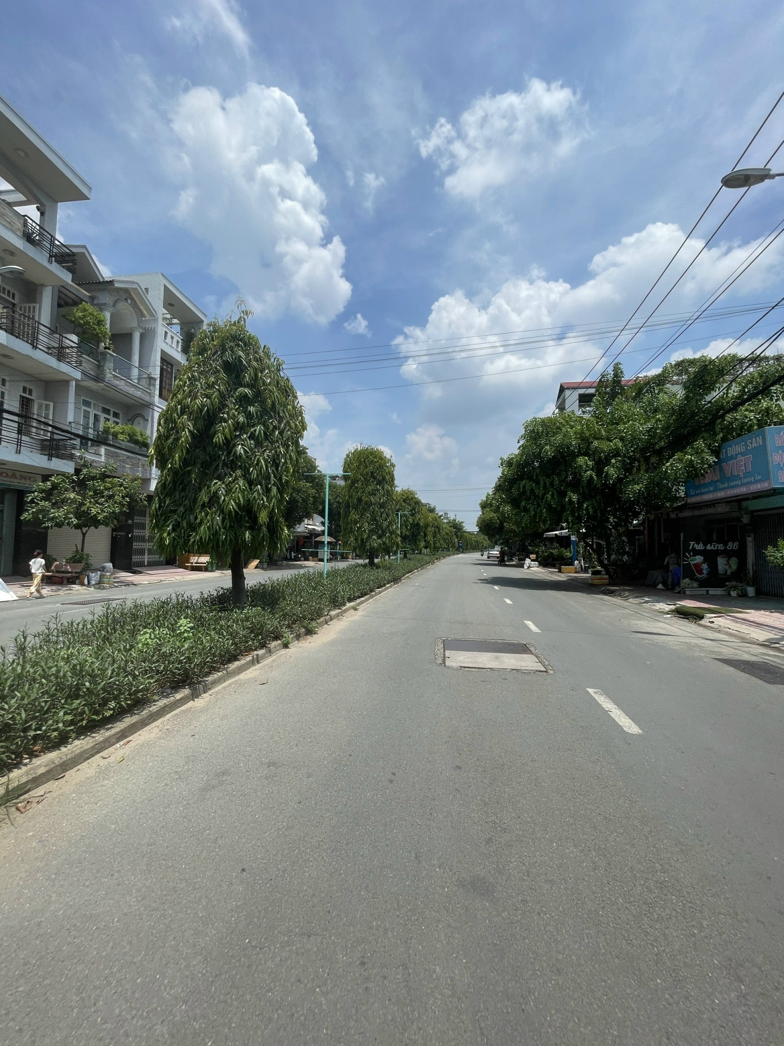 Cần bán Đất đường Đại lộ 3, Phường Phước Bình, Diện tích 88m², Giá 10.5 Tỷ 3