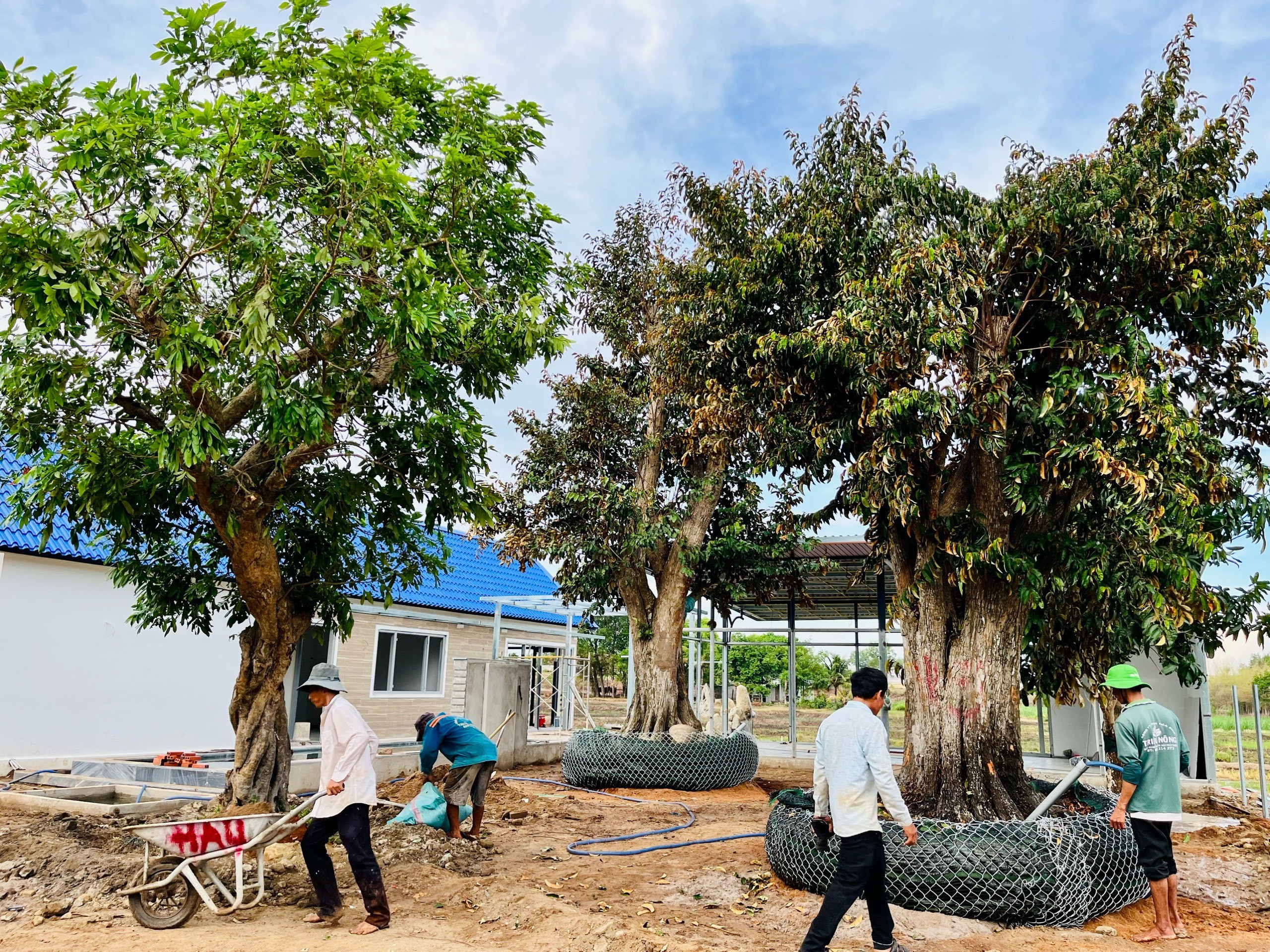 NHÀ VƯỜN view lúa CÓ THỔ, SỔ SẴN, bàn giao nhà cơ bản với cảnh quan sân vườn nằm ngay KDC và QL55 3