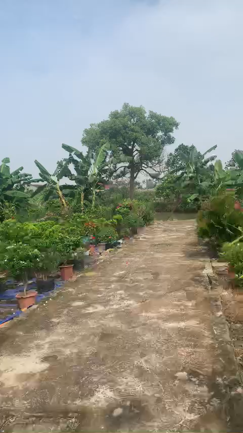 Bán đất 50m² khu Tân Hưng Hải Dương, ô tô vào tận nơi – giá chỉ 6xx triệu