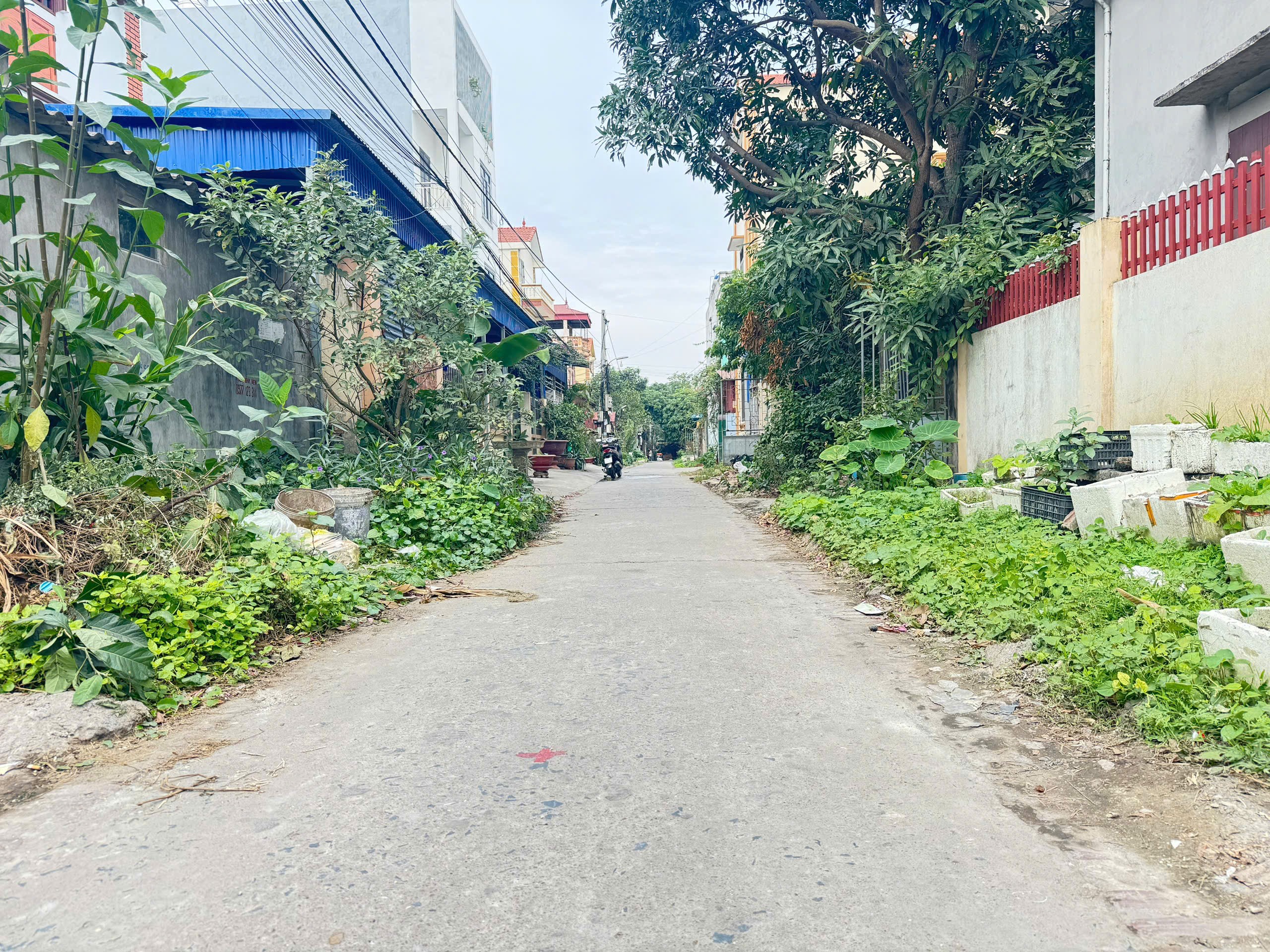 65m Lạc hồng – Văn lâm, ngay vành đai 4, ô tô vào thoải mái, giá tốt: 0835459289