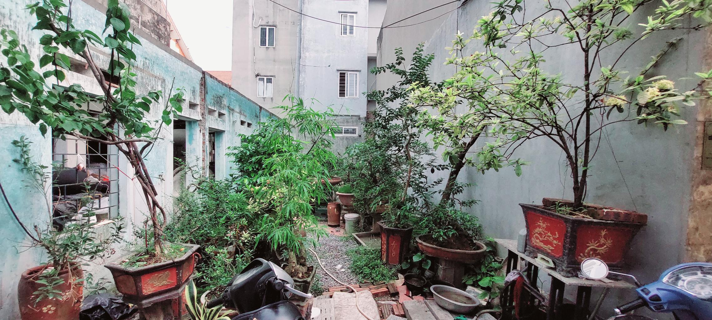 Cần bán Đất đường Hưng Phúc, Phường Yên Sở, Diện tích 50m², Giá 8.88 Tỷ
